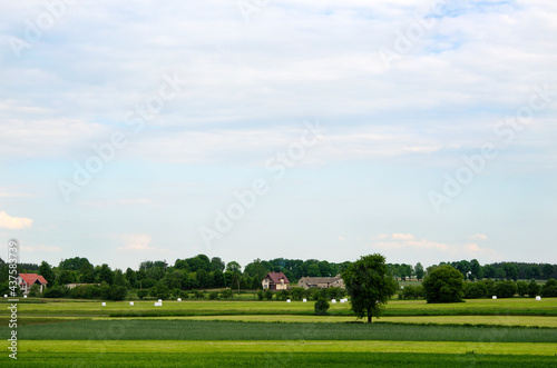 idealistic landscape in the countryside, fields and farmers' houses