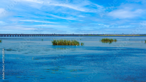 Interstate in Mobile and Alabama swamp landscape in summer