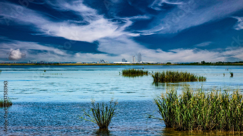 Canvastavla Interstate in Mobile and Alabama swamp landscape in summer