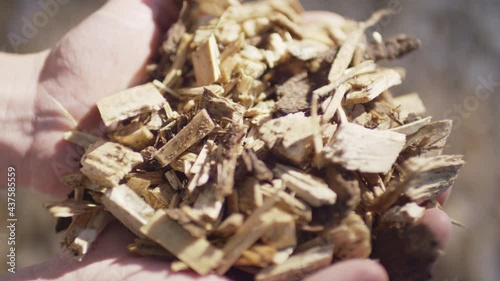 Wood chips trickle in your hand