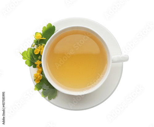 Cup of aromatic celandine tea and flowers on white background, top view