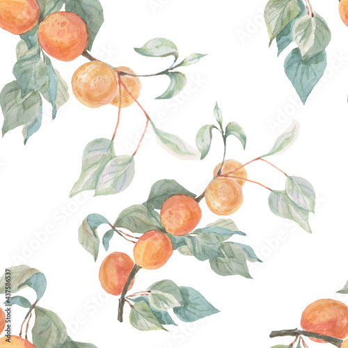 Fruit apricots watercolor illustration hand drawn seamless pattern. Print textile realistic style garden harvest background juice jam healthy foods with vitamins healthy food vegetarianism
