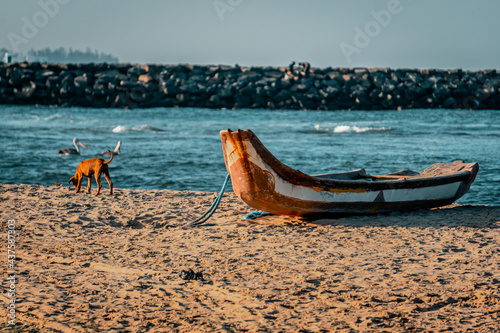 Canvas Print Isolated Fishing Fibre Boat At Kovalam Beach, ECR Chennai, Tamilnadu, South Indi