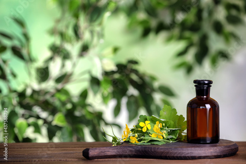 Bottle of celandine tincture and plant on wooden table outdoors, space for text