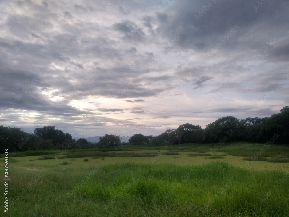 Landscape and white clouds