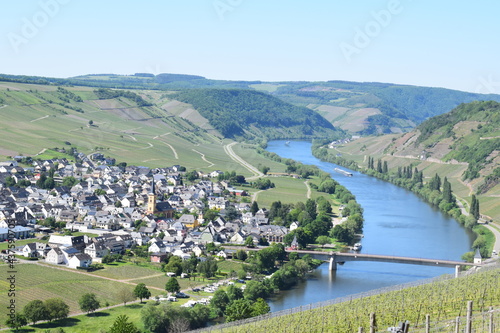 Blick ins Moseltal mit Trittenheim photo