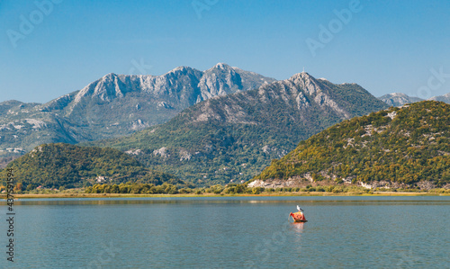 A beautiful landscape view at Lake Skadar and Dinaric Alps in Montenegro, National Park, famous tourist attraction and the largest lake in Southern Europe.