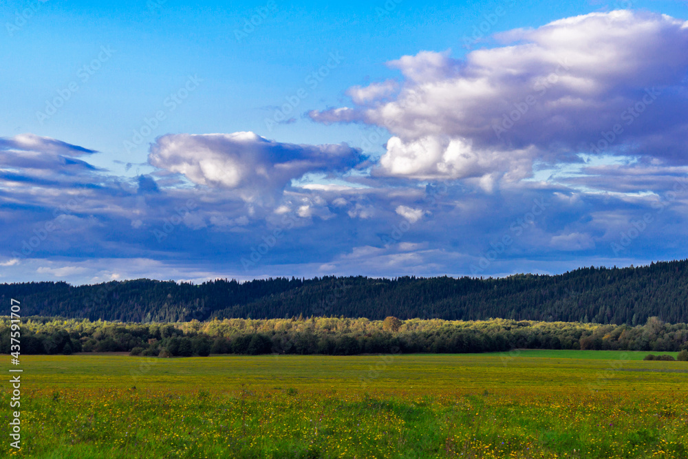 meadow and hills with a coniferous forest in the distance meadow and hills with a coniferous forest in the distance
