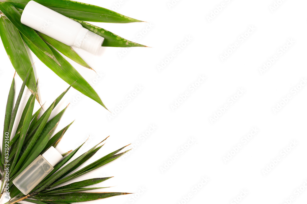 Fototapeta premium cosmetic flat lay: face care cosmetic and natural elements 