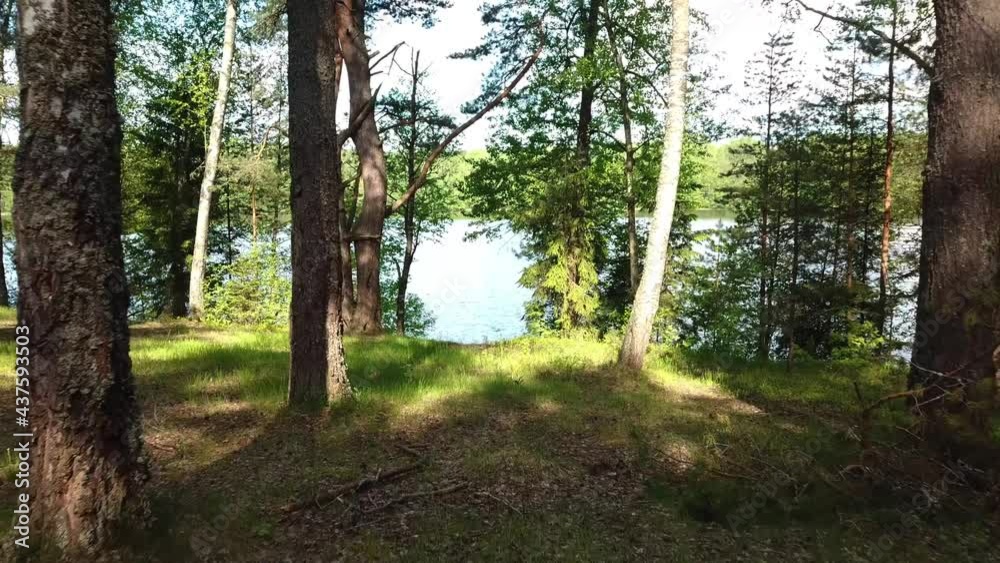Beautiful landscape of Lake Kostovye Beautiful landscape of Lake Kostovye