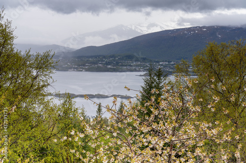 Ålesund, a commercial port city on the west coast of Norway photo