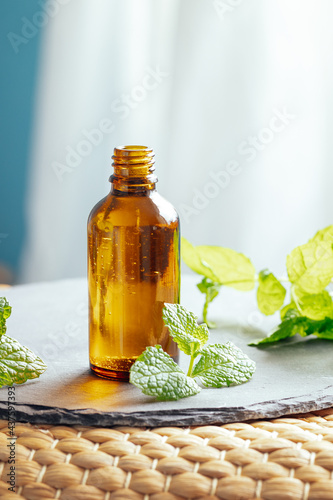 Mint or peppermint essential oil in a glass bottle used as an alternative medicine in aromatherapy or diluted in a carrier oil directly on skin