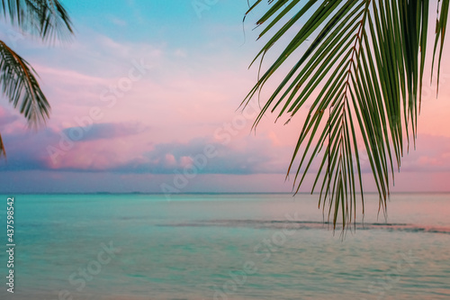 a palm tree branch on the background of a picturesque sunset in the Indian Ocean on the island of Mathiveri Maldives