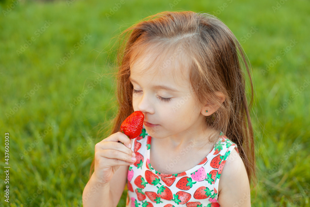 The girl holds strawberries in her hand and sniffs it. aroma. Summer, happiness, outdoor recreation. Berries, harvest. A child eats strawberries The girl holds strawberries in her hand and sniffs it. aroma. Summer, happiness, outdoor recreation. Berries, harvest. A child eats strawberries