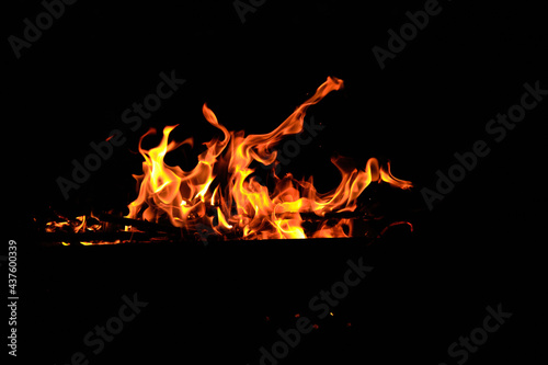 flames at night. Fire flames on black background. tongues of flame on the background of coals