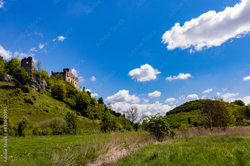 Landschaft mit Burg Niederhaus Landschaft mit Burg Niederhaus