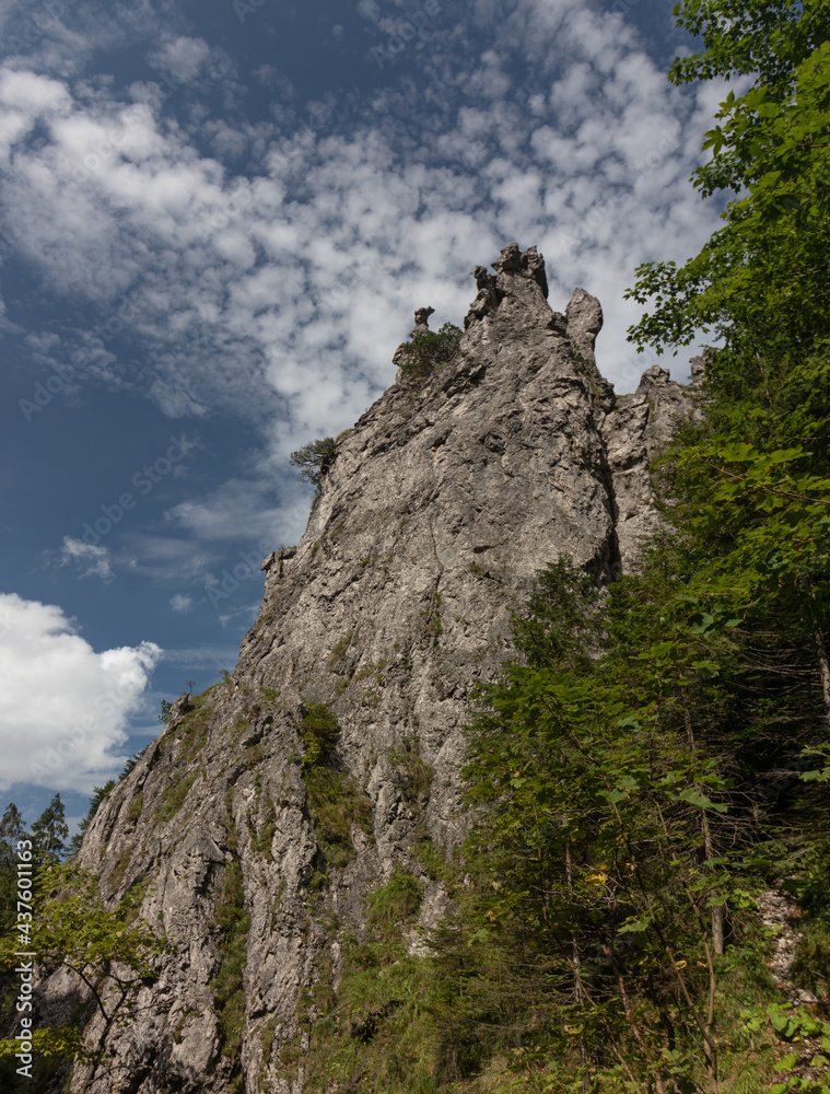 Rock Summit and Pine Trees in the Mountains. Mountain Peak on The Background of Blue Sky. Big Rock Summit Among the Green Trees. Taras Mountains, Poland.