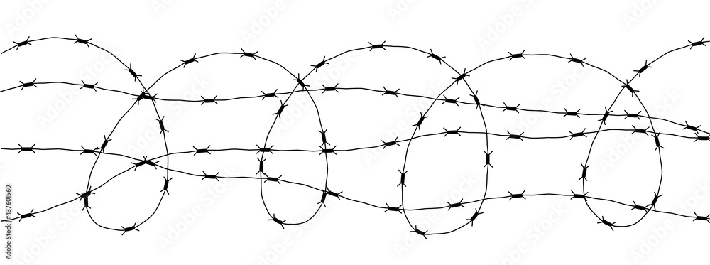 Barbed Wire Isolated on White. Wired border of prison or war zone.