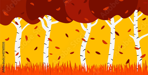 Birch Grove in Autumn Flat