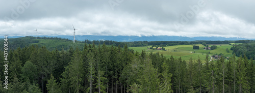 Schwarzwald bei Biederbach photo