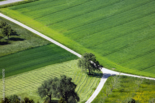 Felder und Wege