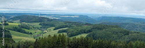 Fototapeta Naklejka Na Ścianę i Meble -  Schwarzwald bei Biederbach