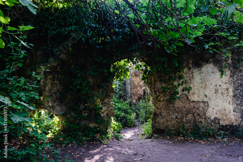 Fototapeta Naklejka Na Ścianę i Meble -  Casa abandonada en ruinas, camuflada en el bosque