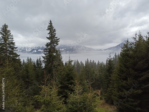 Bewölkte Berge mit Wald im Vordergrund