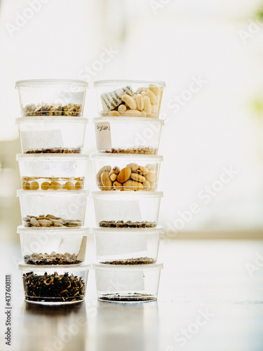 Vegetable seeds before planting in small boxes
