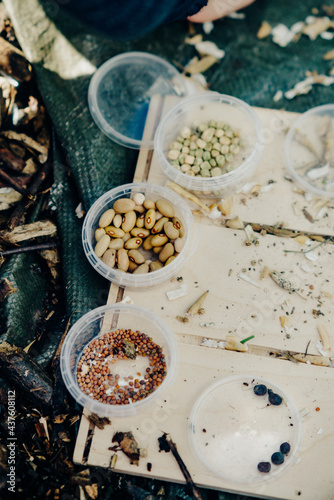 Vegetable seeds before planting in small boxes.