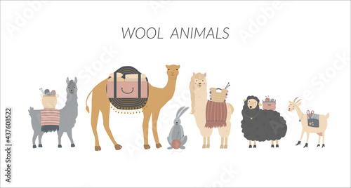 Set of wool animals made in a flat style vector.