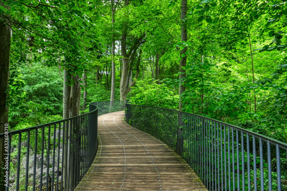 Brücke im Felsenmeer in Hemer im Sauerland