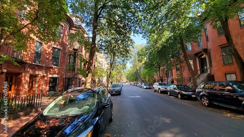 Vászonkép green street in a city with cars (W. Canton street)