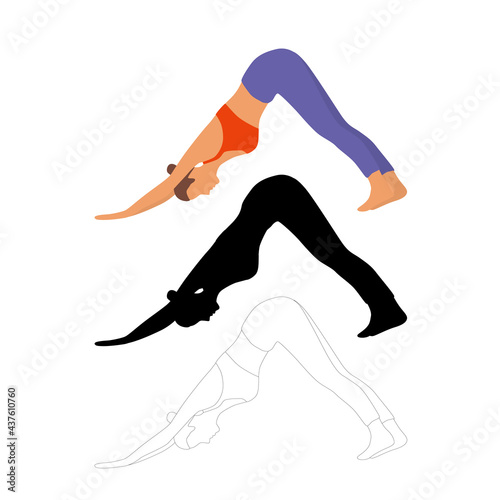 Woman sitting in yoga dog pose, meditation, silhouette, sketch and cartoon style design in different colors, vector illustration, isolated on white