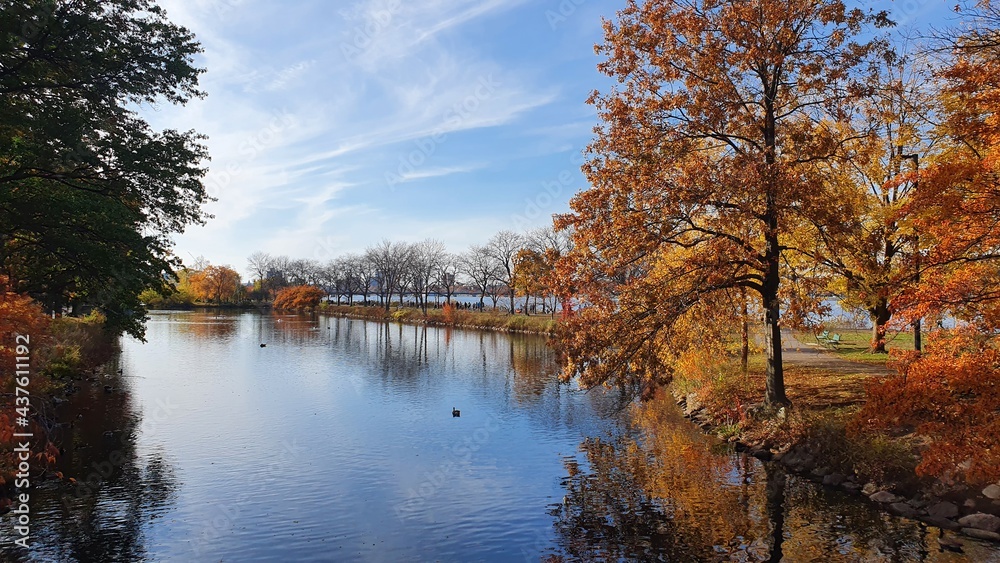 Autumn park esplanade with orange trees, ducks on a calm river