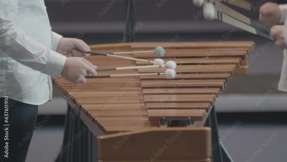 Two mans playing Marimba. Close up. Two mans playing Marimba. Close up.