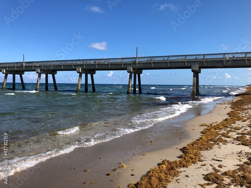 waves on palm beach