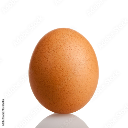 chicken egg large isolated on a white background, close-up