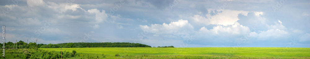 Panorama of a wheat field in Ukraine against the background of sky and clouds