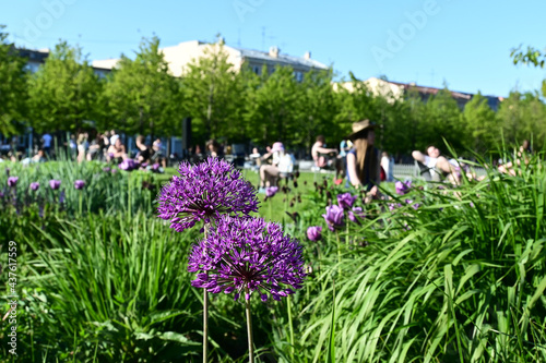 City parks in the summer with vacationing people. Lawns and lawns with flowers, fresh grass in the city park. In the background, people relax in the park.