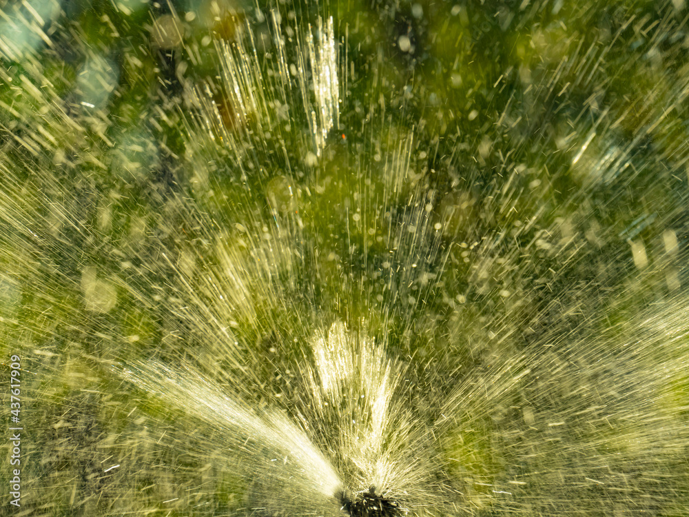 Sprinkler spraying water on green garden
