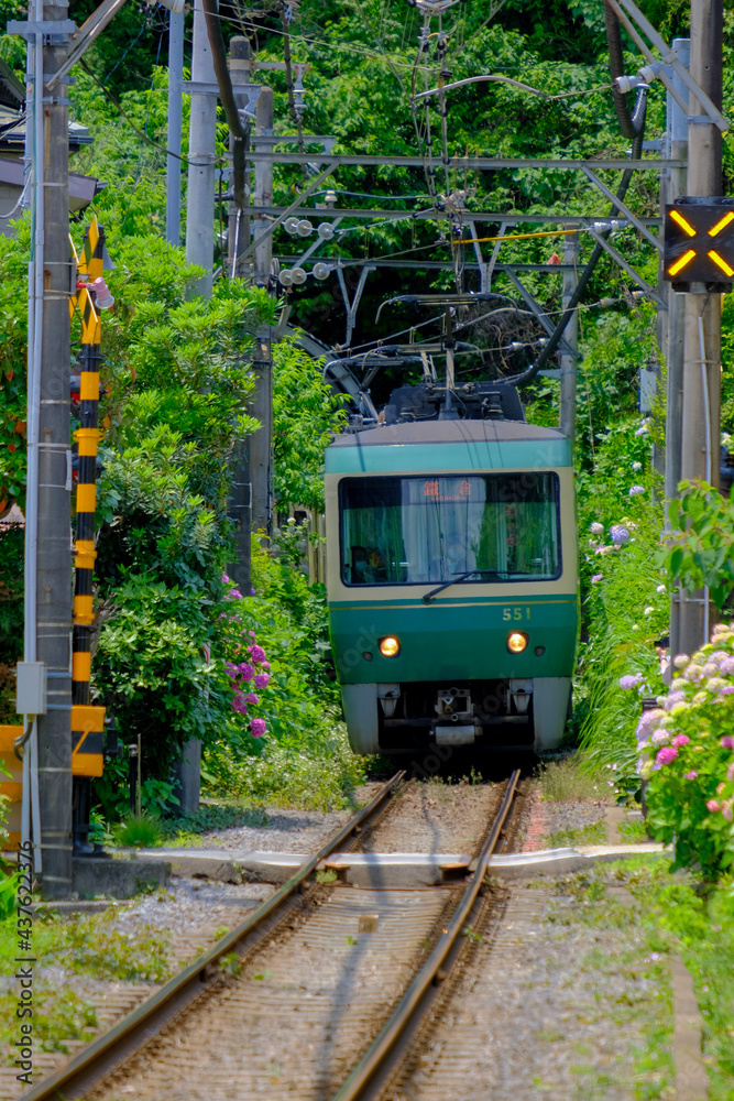 Naklejka premium Local railroad and hydrangea