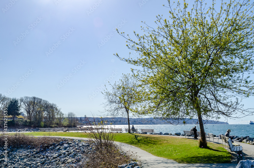 Obraz premium nice view in the park