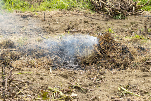 Fototapeta Naklejka Na Ścianę i Meble -  畑で雑草を燃やしている様子。野焼き