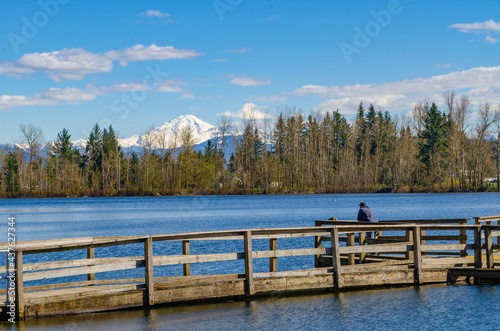 View of mt. Baker in the park photo
