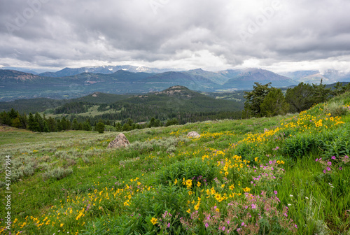 Beartooth Pass Vista Point with summer wildflowers