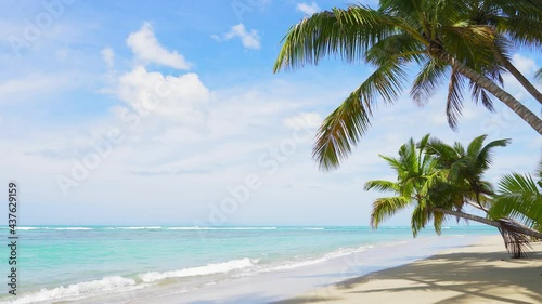 Beautiful palm tree on the white sand beach Hawaiian island with sea views. Vacation on the Hawaiian palm beach landscape. photo