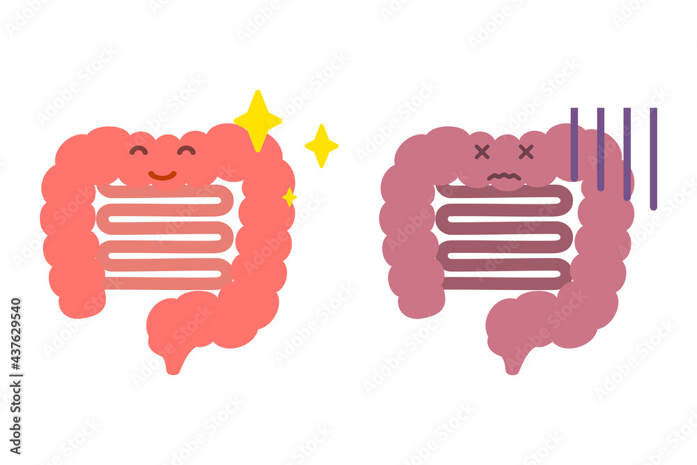 ヒトの腸と顔 ヒトの腸と顔