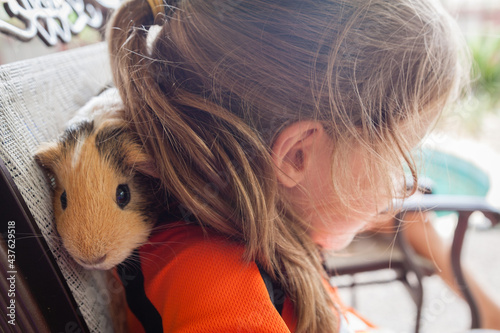 A guinea pig playing on the shoulders of a child.