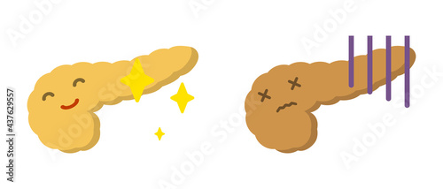 ヒトの膵臓と顔